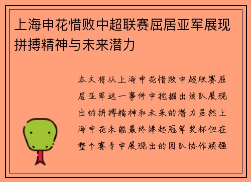 上海申花惜败中超联赛屈居亚军展现拼搏精神与未来潜力