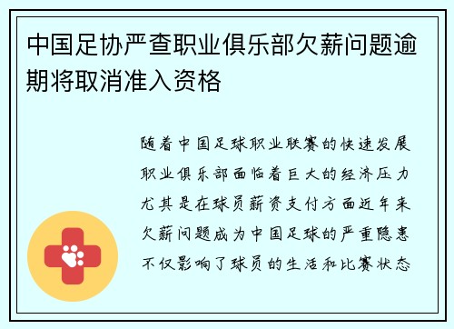 中国足协严查职业俱乐部欠薪问题逾期将取消准入资格